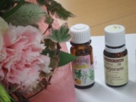 �A���}�I�C���̗́@�u�I�[�V�����v